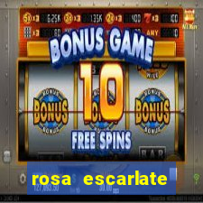 rosa escarlate ragnarok quest